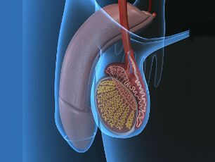 varicocele and testicular pain on stimulation